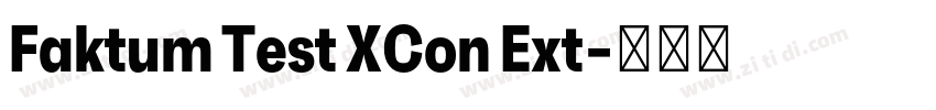 Faktum Test XCon Ext字体转换